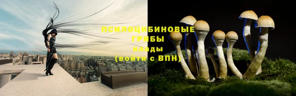МДПВ Беломорск