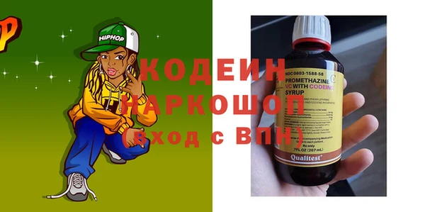 шишки Богородицк