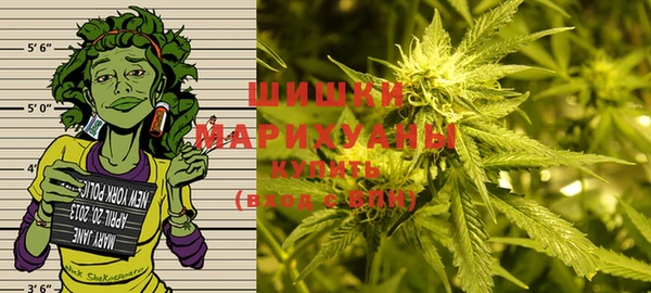 гашик Белокуриха