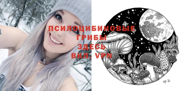ГАЛЛЮЦИНОГЕННЫЕ ГРИБЫ Богородск