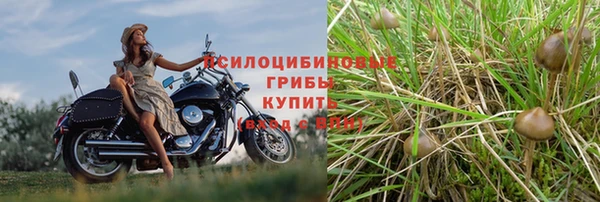 дмт Зеленокумск