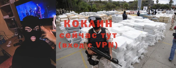 шишки Богородицк