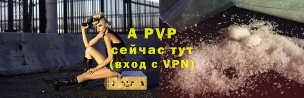гашик Белокуриха