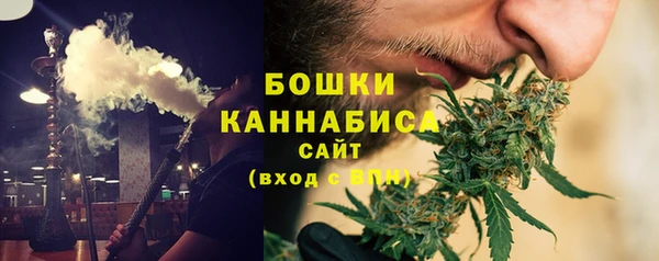 гашик Белокуриха