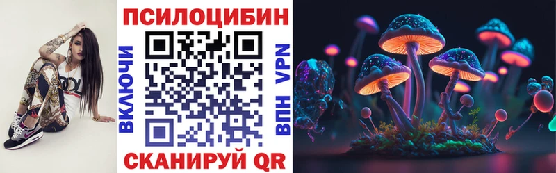Псилоцибиновые грибы Psilocybine cubensis Белоусово